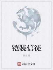 铠装型是什么意思