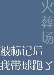 被标记后我带球跑了 完结+番外